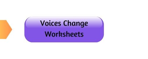Voice change worksheets - Grade X